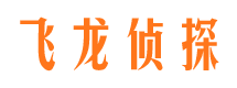 莎车市调查公司